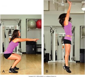 A squat jump in sports requires a strong contraction by plantarflexors, placing a strong tensile force on the Achilles tendon. Permission: Joseph E. Muscolino. Kinesiology: Skeletal Structure and Muscle Function, 3ed (2017), Elsevier. 